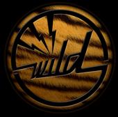 Wild custom guitars profile picture