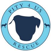 Pity 4 Us Pit Bull Rescue profile picture