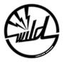 Wild custom guitars profile picture