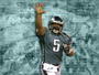 Donovan McNabb profile picture