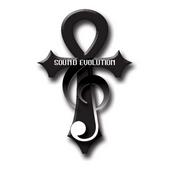 Sound Evolution Records profile picture