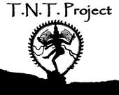 TNT Project profile picture