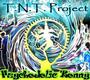 TNT Project profile picture