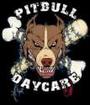 Pitbull Daycare profile picture