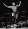 Randy Orton #1 Fan Site! profile picture