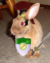 Automatic Attack Rabbit Zero! profile picture