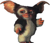 Mogwai profile picture