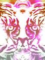 Mind Tiger profile picture