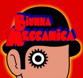 biunnameccanica profile picture