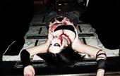 ~*AuToPsY HooKeR*~ {Daisy} profile picture