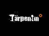 TÃ¤rpentin profile picture