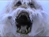 Elusive Yeti profile picture