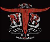 Native Texan Band profile picture