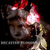 Decaying Blossom profile picture