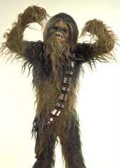 Chewbacca profile picture