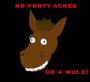 No Forty Acres or A Mule! profile picture