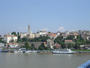 Belgrade profile picture
