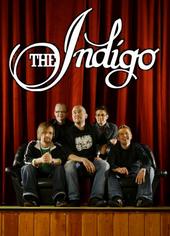 The Indigo profile picture