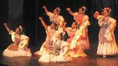 Ballet Folklorico Sol de Mexico profile picture