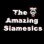 The Amazing Siamesics profile picture