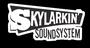 Skylarkin' Soundsystem profile picture