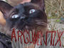 Argumentix profile picture