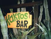 kaktos_bar