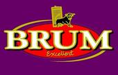 brum profile picture