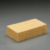 The Sponges profile picture