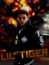 Liltiger[Massiv-Album Nr.3 fertig!] profile picture