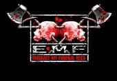 EMF-RECORDS profile picture