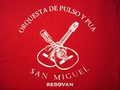 Orquesta de Pulso y Pua San Miguel profile picture