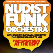 Nudist Funk Orchestra profile picture