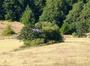 Roaring Camp profile picture