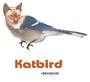 Katbird profile picture