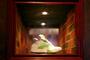 SNEAKER BISTRO BOUTIQUE profile picture