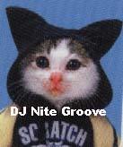 DJ Nite Groove profile picture