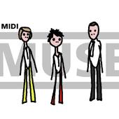 Midi Muse profile picture