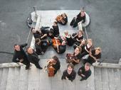 European Camerata profile picture