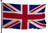 The British Congregation profile picture