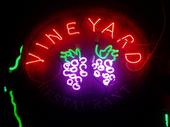 the Vineyard profile picture