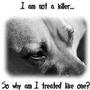 ♥Together For The Animals♥(JenCarter profile picture