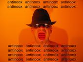 ANTINOOX profile picture