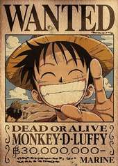 Little Monkey.D.Luffy profile picture