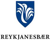 Reykjanesbaer profile picture