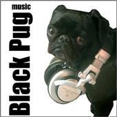 Black Pug Music profile picture