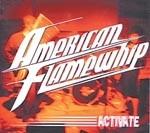 AMERICAN FLAMEWHIP profile picture