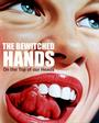 ThE BeWiTcHeD hAnDs On ThE tOp Of OuR hEaDs profile picture