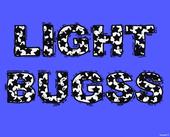 The official page of Light Bugs profile picture