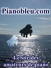 pianobleu.com profile picture